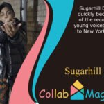Sugarhill Ddot