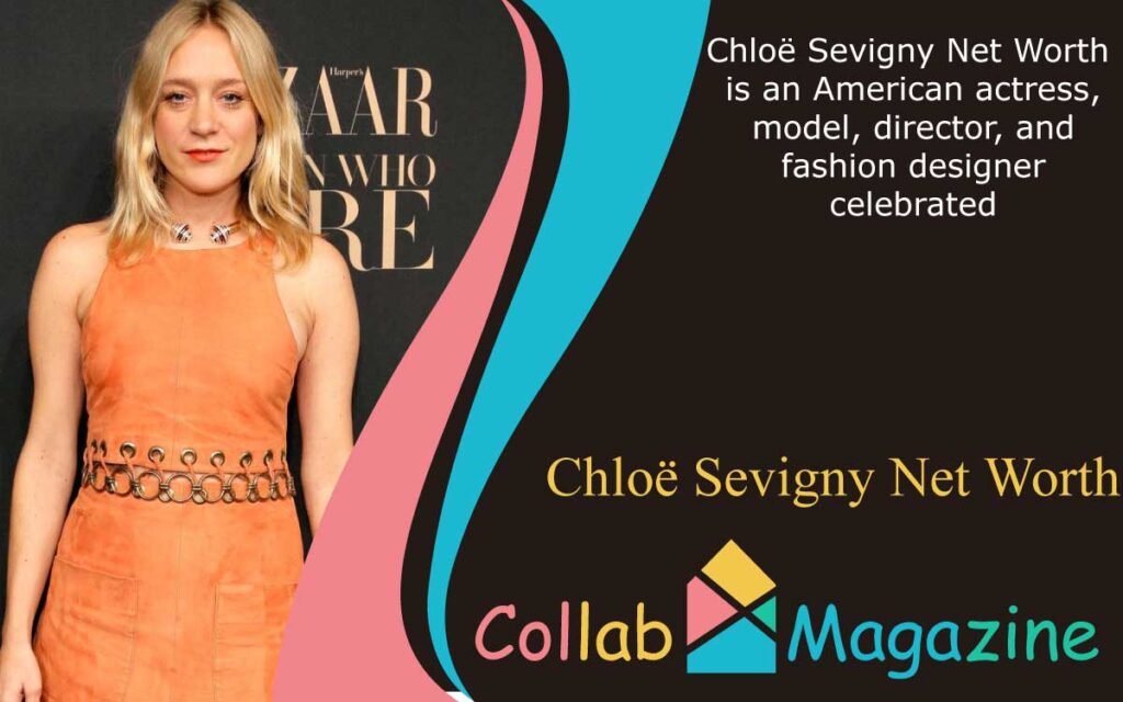 Chloë Sevigny Net Worth