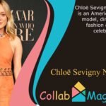 Chloë Sevigny Net Worth